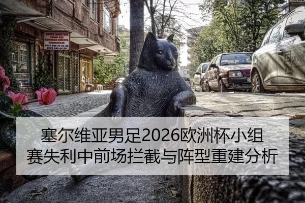 sai-er-wei-ya-nan-zu-ou-zhou-bei-xiao-zu-sai-shi-li-zhong-qian-chang-lan-jie-yu-zhen-xing-chong-jian-fen-xi-2-339.jpg
